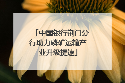 中国银行荆门分行助力磷矿运输产业升级提速